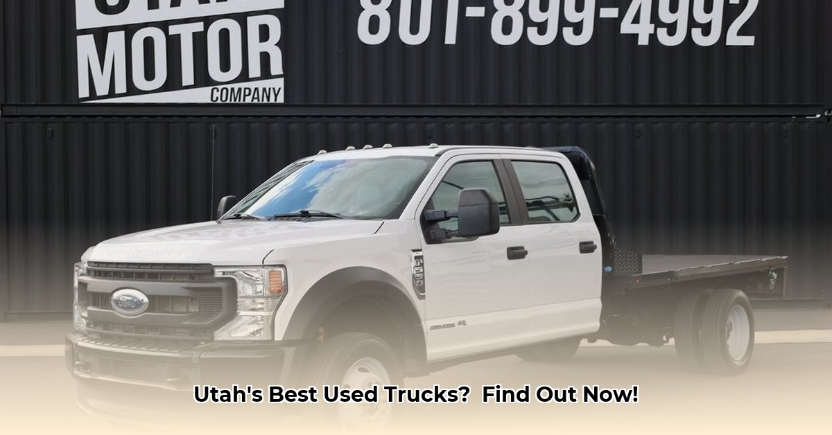 utah-motor-company-orem